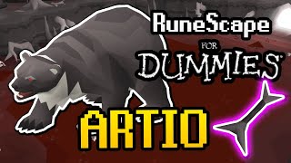 Artio EXTREMELY LOW RISK Guide 2024  LowMedHigh Level amp Budget Setup OSRS Runescape for Dummies [upl. by Bourn]