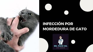 Infección por mordedura de gato ¿Más peligroso de lo esperado [upl. by Atekahs]