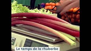 La rhubarbe en compote tarte ou confiture [upl. by Ayian]