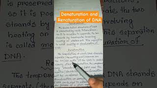 Denaturation and Renaturation of DNA molecularbiology biology genetics shortsfeed shorts viral [upl. by Naitsirt]