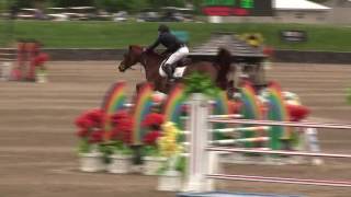 Video of Iliona ridden by David Raposa from ShowNet [upl. by Jordison]