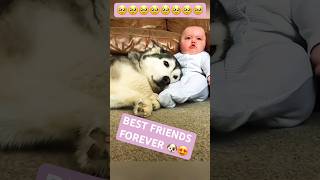 😍Dogs love children ❤️🐶 doglover dog dogs doglovers shortsvideo short fypシ゚viral [upl. by Enoved]