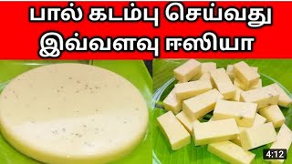 Seempal Recipe in Tamilசீம்பால் செய்வது எப்படிCow Colostrum Milk CakeMilk pudding milkpudding [upl. by Eixid]