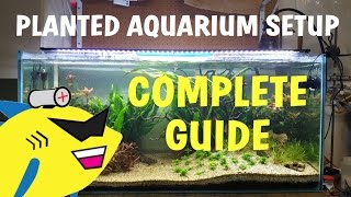 PLANTED AQUARIUM SETUP Complete Guide To A Soil Planted Tank [upl. by Namie]