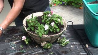 How to Make a Hanging Basket of Impatients Advanced [upl. by Saul]