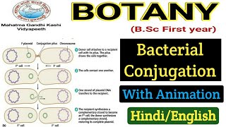 Genetic Recombination in Bacteria  Bacterial Conjunction  BSC first year Botany 1st paper [upl. by Alusru250]