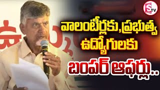 వాలంటీర్లకు సీఎం బంపర్ ఆఫర్  CM Chandrababu Good News to AP Grama Volunteers  AP Politics [upl. by Auqcinahs]