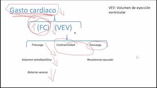 Sistema cardiovascular Hemodinamia Ley de Ohm Poiseuille y presión arterial sistémica Parte 1 [upl. by Las]