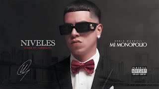 Chris Wandell  Niveles Audio Cover [upl. by Herminia]