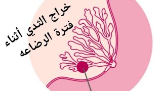 خراج الثدي أثناء فترة الرضاعه الأسباب  الوقاية و العلاج [upl. by Gerrard851]