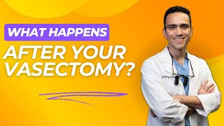 What Happens After a Vasectomy [upl. by Delaney]