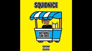 SquidNice  Nothing For Free [upl. by Damara]