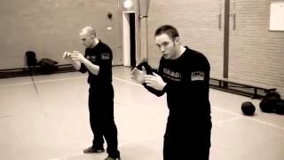 Institute Krav Maga Netherlands  training in Boxmeer [upl. by Zahc9]