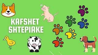 Kafshet shtepiake  Animals [upl. by Rednaxela]