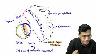 MBBS 1st Year General Embryology Third Week Of Devlopment Part 2 [upl. by Muldon357]