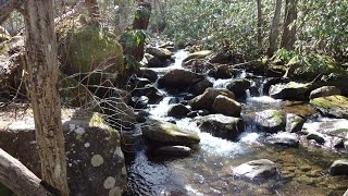 Ripplin Waters Tennessee Mountians [upl. by Euqcaj]