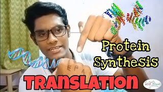 Translation  Protein Synthesis  Ribosomes  Tamil  ThiNK BIOLOGY  tnkumaresan ThiNK VISION [upl. by Berny]