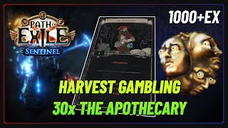 PoE 318  1000ex Apothecary Card Gamble [upl. by Ahsercel]