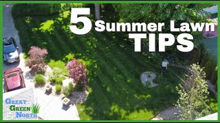 5 EASY Summer Lawn tips to have a Greener better lawn this summer [upl. by Lowson]