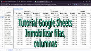 Tutorial Google Sheets Hojas de cálculo Inmovilizar filas y columnas Computador con Windows [upl. by Asiluy]