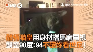 醋桶喵皇用身材擋馬麻電視 頭歪90度：94不讓妳看世足！ [upl. by Dwyer]