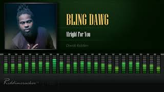 Bling Dawg  Alright For You Diwali Riddim HD [upl. by Ilsa]