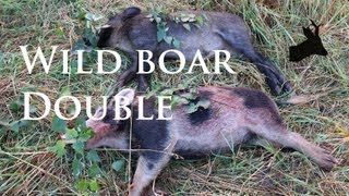 Wild boar double by RoeStalker  Two yearling pigs shot with 3006  Crop protection [upl. by Frost]