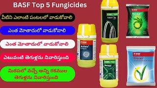 BASF Top 5 Fungicides  Acrisio  Cabrio top  Acrobat  Merivon  Polyram [upl. by Enomrej]