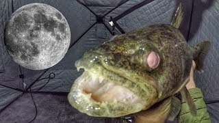 Ice Fishing Full Moon Walleye [upl. by Dibri]