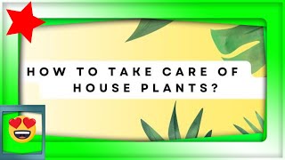 INDOOR PLANT CARE TIPS FOR BEGINNERS [upl. by Risser]