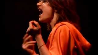 CAMILLE Live au ZÉNITH Paris 2008 Full Concert [upl. by Inahpit223]