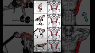 fitness tips ll beck workout ll fitness gym workout viral ytshort shorts short ytshorts [upl. by Silra]