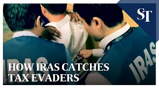 How Iras catches tax evaders  The Straits Times [upl. by Aubrette]