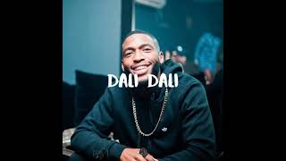 Daliwonga x Mellow amp Sleazy Type Beat quotDali Daliquot 2023 Prod By Puppy Beats [upl. by Ihcehcu]