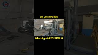 Egg Carton Making Waste Paper Pulp Molding Machine eggtray [upl. by Atsylak]