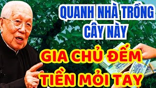 Trồng 6 Cây Này TIỀN ĐỔ VÀO NHÀ NHƯ NƯỚC Ngồi KO Gia Chủ Cũng GIÀU NỨT VÁCH [upl. by Felic]