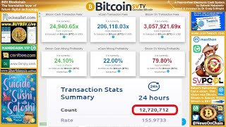 Charts BSV 12000000 tx in 24hrs [upl. by Refannej114]