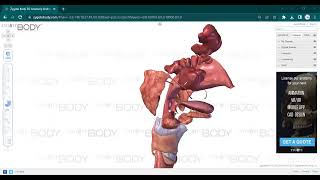 L9 ANATOMY Pharynx [upl. by Just817]