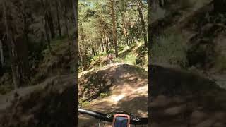 MTB Forest Trail 🌲 mountainbiking mtblife btt cycling mtbtrail shortsyoutube [upl. by Alguire]