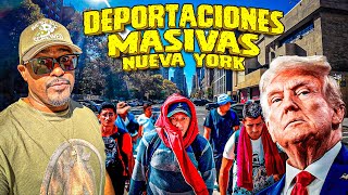 Asi estan las calles de Nueva york despues del trinfo de Donald trump  Hay miedo a ser deportado [upl. by Akcirahs714]