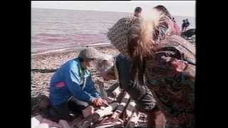 92 01 TAMAPTA Celebrating the Bowhead Harvest in Aklavik 1991 [upl. by Ayotnahs]