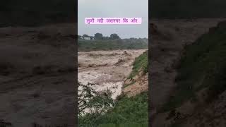 लूणी नदी जसनगर में  luni river jaitarannews जैतारण jaitaran [upl. by Inohtna247]