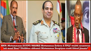 HNN EGYPT Ertirea fi TPLF walitti fiduun dhugaadhaa Oromoonni Somalia maal himatan Sep17 2024 [upl. by Gilson]