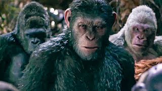 Everything GREAT About War for the Planet of the Apes [upl. by Camile]