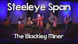 Steeleye Span  Blackleg Miner Live [upl. by Klemens597]