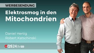 Wie Elektrosmog unsere Mitochondrien schädigt  Erfahrungen in der Alternativmedizin  QS24 [upl. by Xenos115]