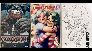 Another 1 Comic Book Haul [upl. by Akinek874]