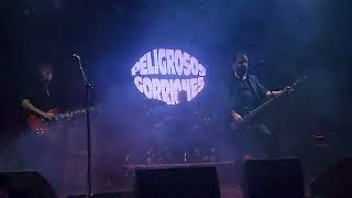 Peligrosos Gorriones full set 14122023 en The Roxy [upl. by Kirsti]