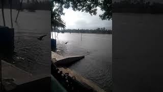 River kaveri flows in nimishamba temple in sri ranga patna [upl. by Sitruk]