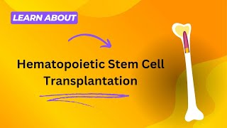 Hematopoietic Stem Cell Transplantation [upl. by Enimrej353]